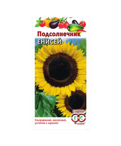 Подсолнечник Енисей 10гр
