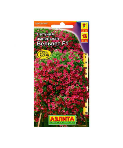 Петуния Вельвет 5шт