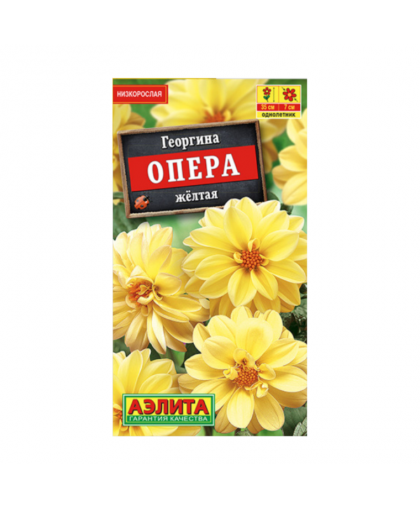 Георгина Опера желтая 7шт