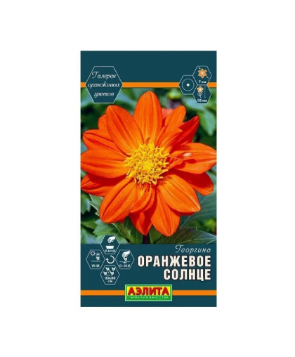 Георгина Оранжевое солнце 7шт Георгина Оранжевое солнце 7шт