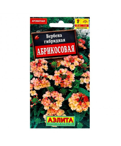 Вербена Абрикосовая 10шт