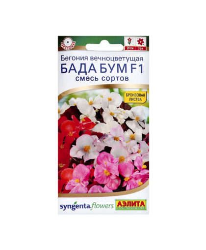 Бегония Бада Бум 5шт Бегония Бада Бум 5шт