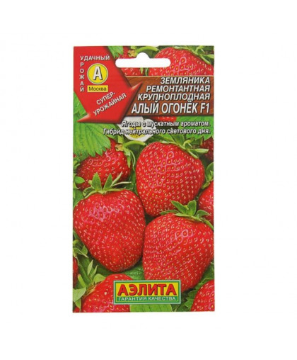 Земляника Алый огонек ремонтантная крупноплодная 10шт