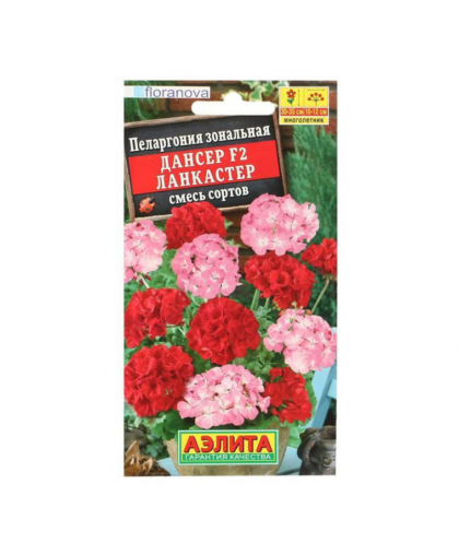 Пеларгония Дансер Ланкастер смесь F2 5шт