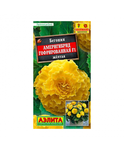 Бегония Америгибрид гофрированная желтая 5шт Бегония Америгибрид гофрированная желтая 5шт