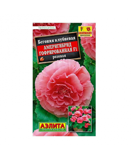 Бегония Америгибрид гофрированная розовая 5шт Бегония Америгибрид гофрированная розовая 5шт