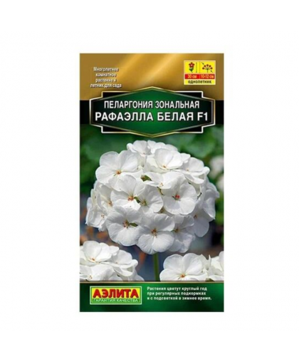 Пеларгония Рафаэлла белая 5шт Пеларгония Рафаэлла белая 5шт