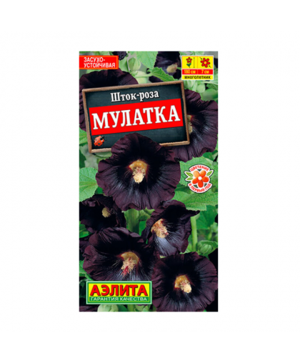 Шток-роза Мулатка 10шт