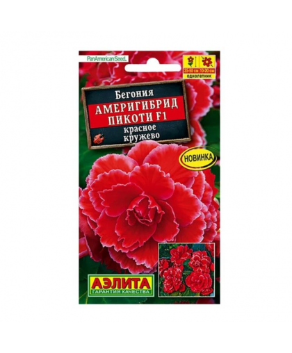 Бегония Америгибрид Пикоти красное кружево 5шт Бегония Америгибрид Пикоти красное кружево 5шт