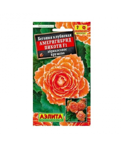 Бегония Америгибрид Пикоти абрикосовое кружево 5шт Бегония Америгибрид Пикоти абрикосовое кружево 5шт