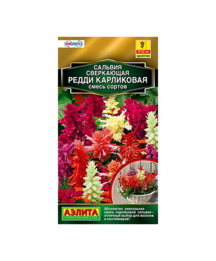 Сальвия Редди карликовая смесь сортов 7шт