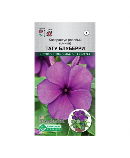 Катарантус розовый (Винка) Тату Блуберри 5шт