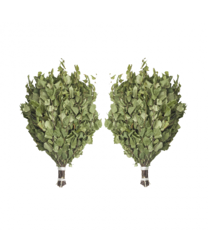 Веник березовый (2ШТ)