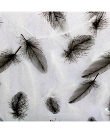 Термоклеенка лазер.печать 0,7мм*0,8м*20м 5075