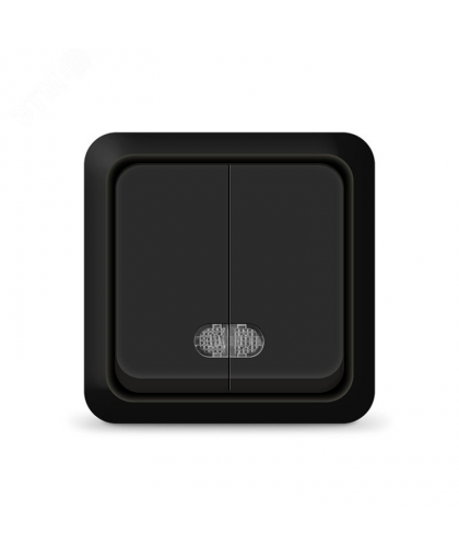 Выключатель UNIVersal ОЛИМП 2-клавишный с подсветкой черный ОП 10А 220В