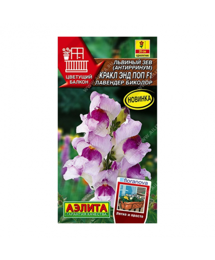Львиный зев Кракл энд поп лавендер биколор 7шт