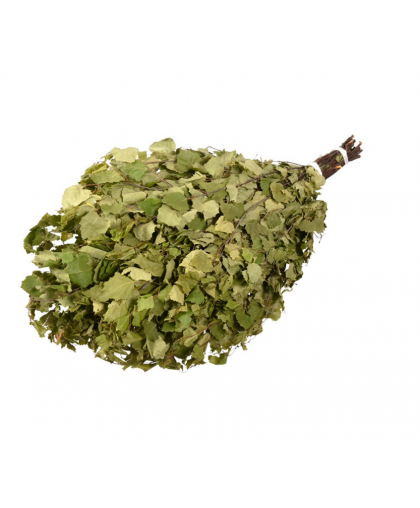 Веник березовый