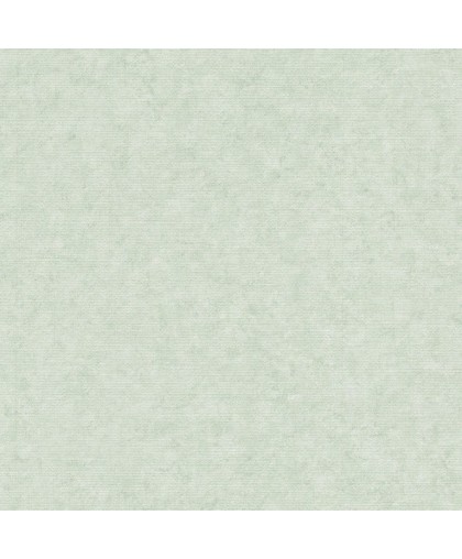Обои бумажные дуплекс Флора фон мохито 6254-7 0,53*10м